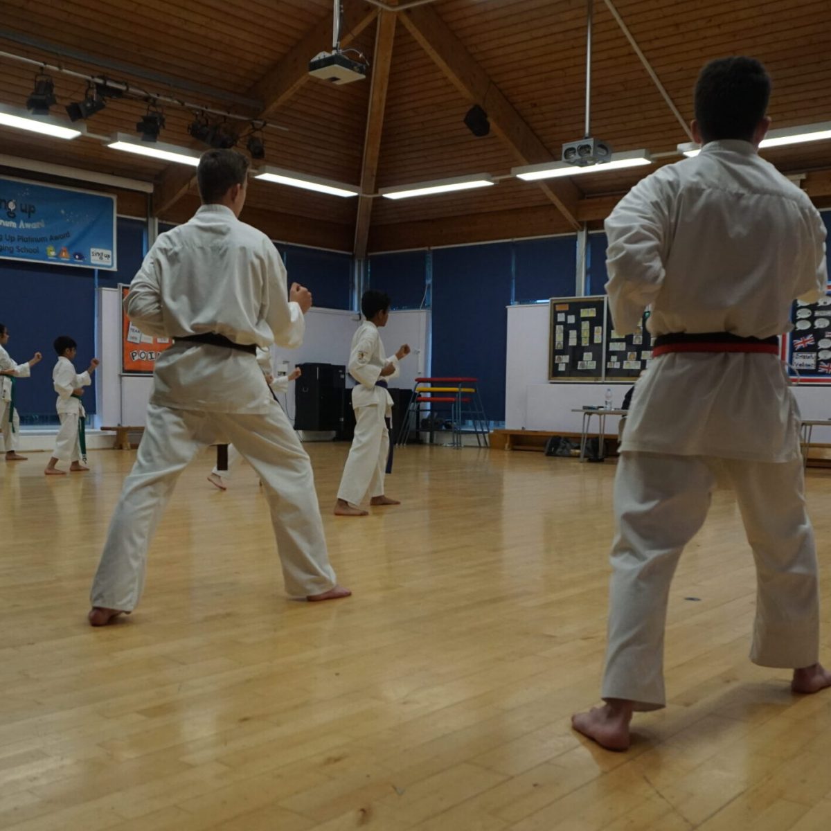 karate class in horsham